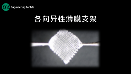 各向异性薄膜支架