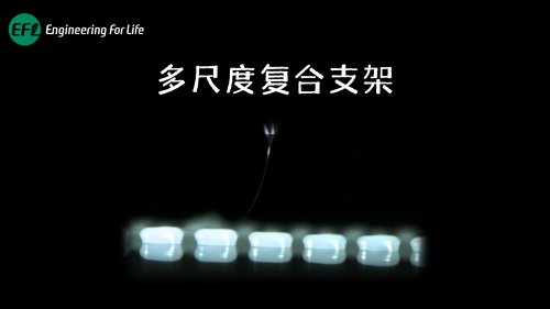 多尺度工程支架