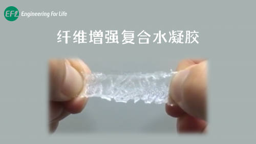 增强型水凝胶-PCL复合支架