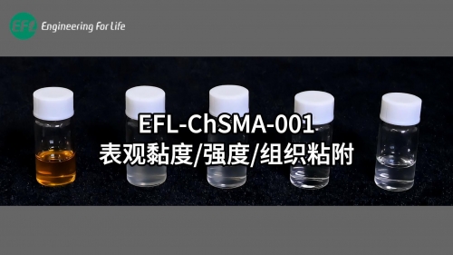 EFL-ChsMA-001表观黏度、强度 、组织粘附性能展示