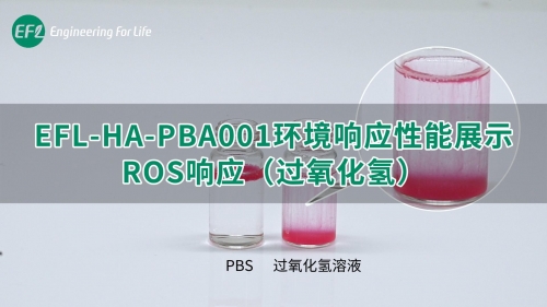 EFL-HA-PBA001环境响应性能展示（ROS响应）