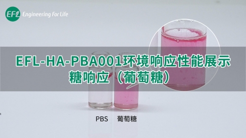 EFL-HA-PBA001环境响应性能展示（糖响应）