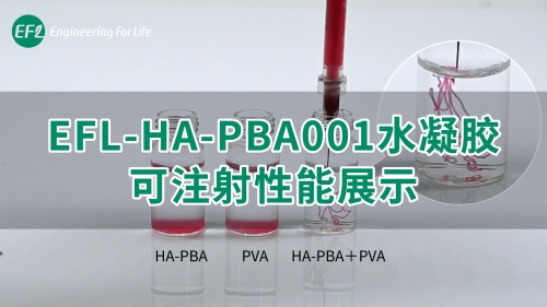 EFL-HA-PBA001水凝胶可注射性能展示