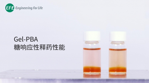 Gel-PBA 糖响应性释药性能