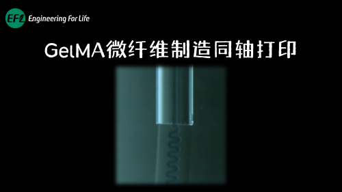GelMA同轴微纤维制造