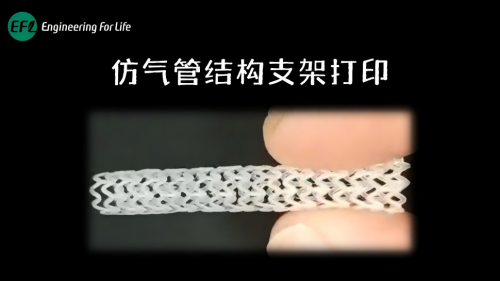 仿气管结构支架打印