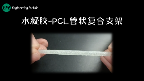 水凝胶-PCL管状复合支架