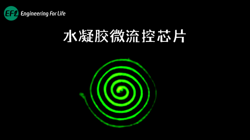 水凝胶微流控芯片