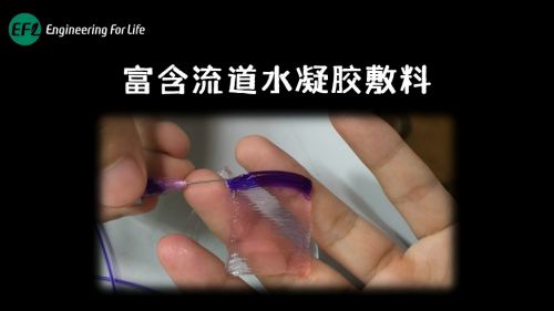 流道敷料制备