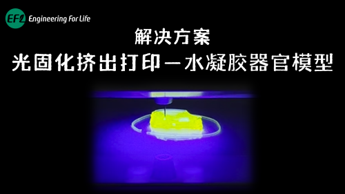 水凝胶器官模型