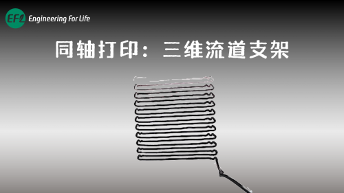 同轴打印三维流道支架