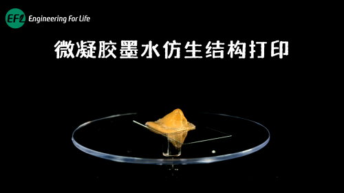 微凝胶墨水仿生结构打印