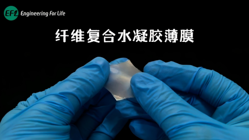 纤维复合水凝胶薄膜