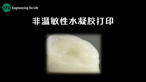 非温敏水凝胶打印