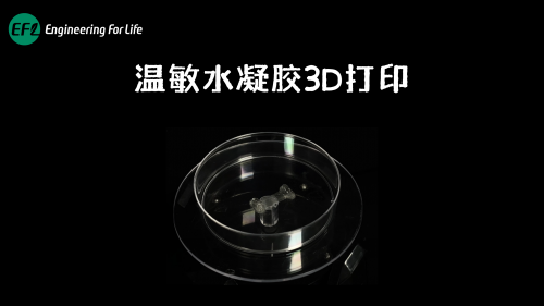 温敏性水凝胶打印