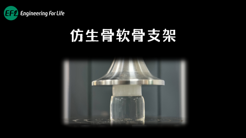 仿生骨软骨支架