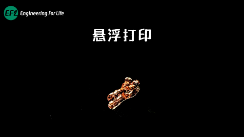 悬浮打印血管&类器官