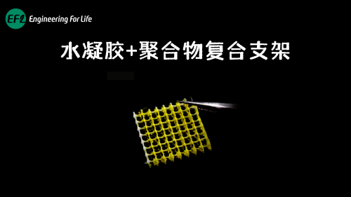 双喷头组合打印（常规打印）