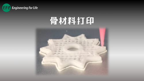 骨材料打印