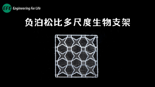 负泊松比多尺度生物支架