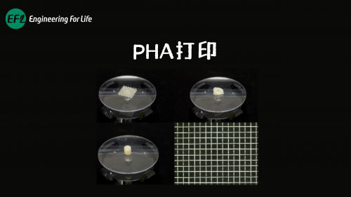 PHA高温熔融&近场直写打印