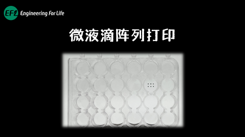 培养板微液滴阵列打印