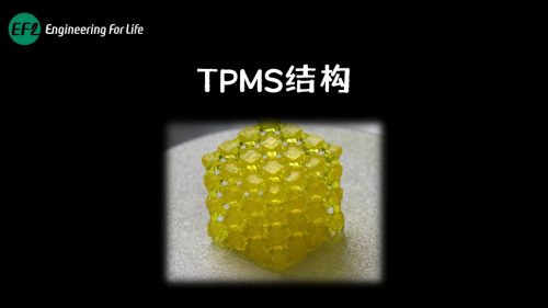 TPMS复杂结构打印