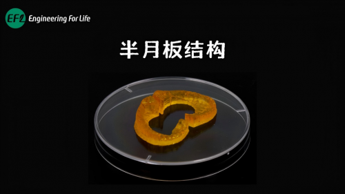 仿生半月板结构打印