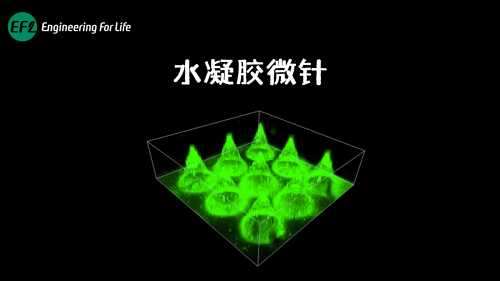 水凝胶微针打印