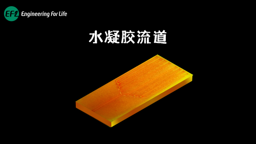 水凝胶流道打印