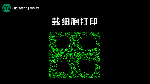 载细胞打印