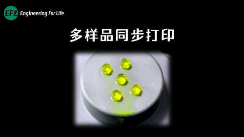 支持多样品同步打印