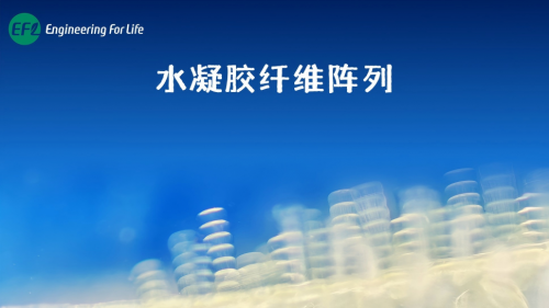 水凝胶纤维阵列