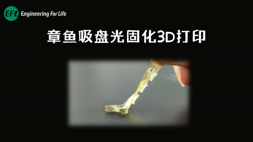 章鱼吸盘光固化3D打印