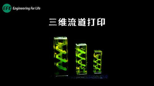 三维流道打印