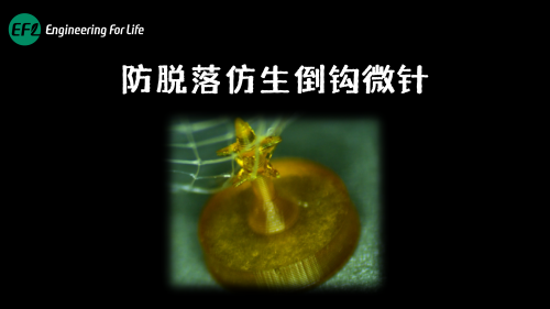 防脱落仿生倒钩微针