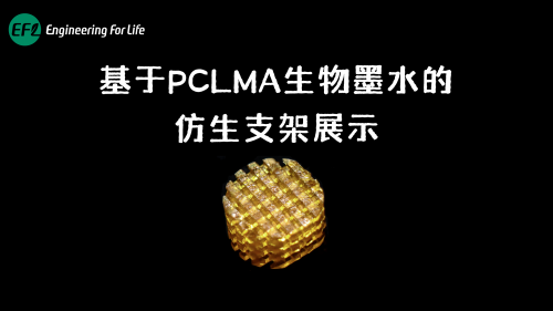 PCLMA仿生多孔支架