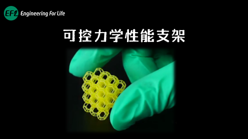 可控力学性能支架