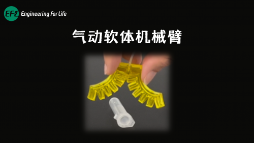 气动软体机械臂