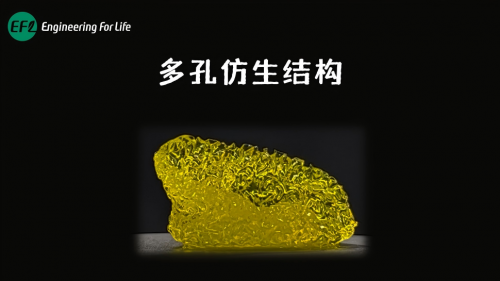 连续打印三周期极小曲面（TPMS）多孔耳廓结构