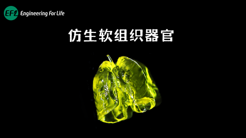 仿生软组织器官