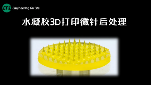 水凝胶3D打印微针后处理