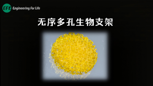 无序多孔生物支架