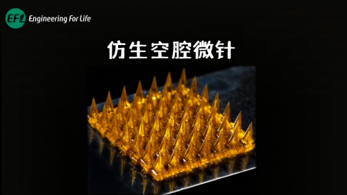 仿生空腔微针