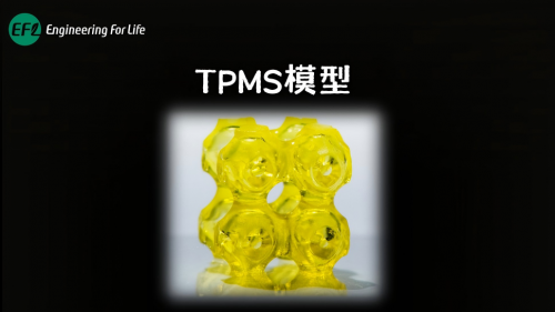 TPMS模型