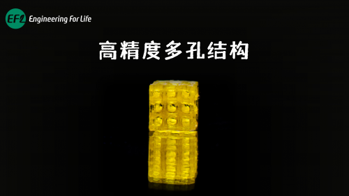 高精度多孔结构