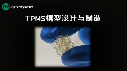 TPMS模型设计与制造