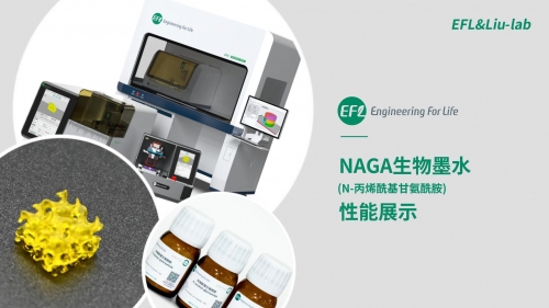 NAGA生物墨水打印多孔支架