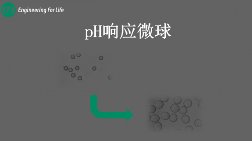 pH响应水凝胶微球