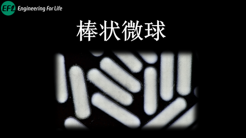 多尺寸棒状水凝胶微球